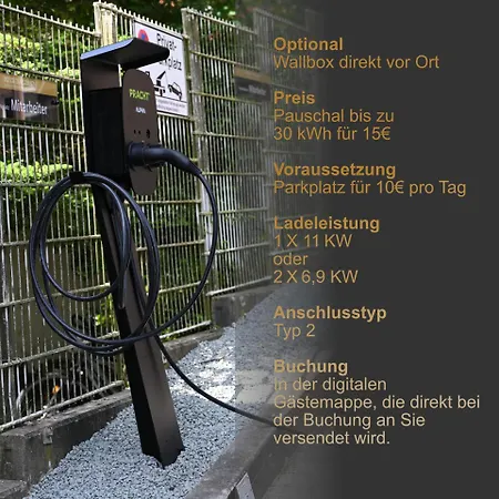 Schmuckstern